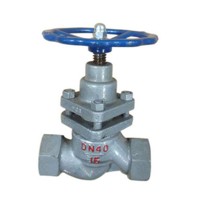 Plunger Globe Valve